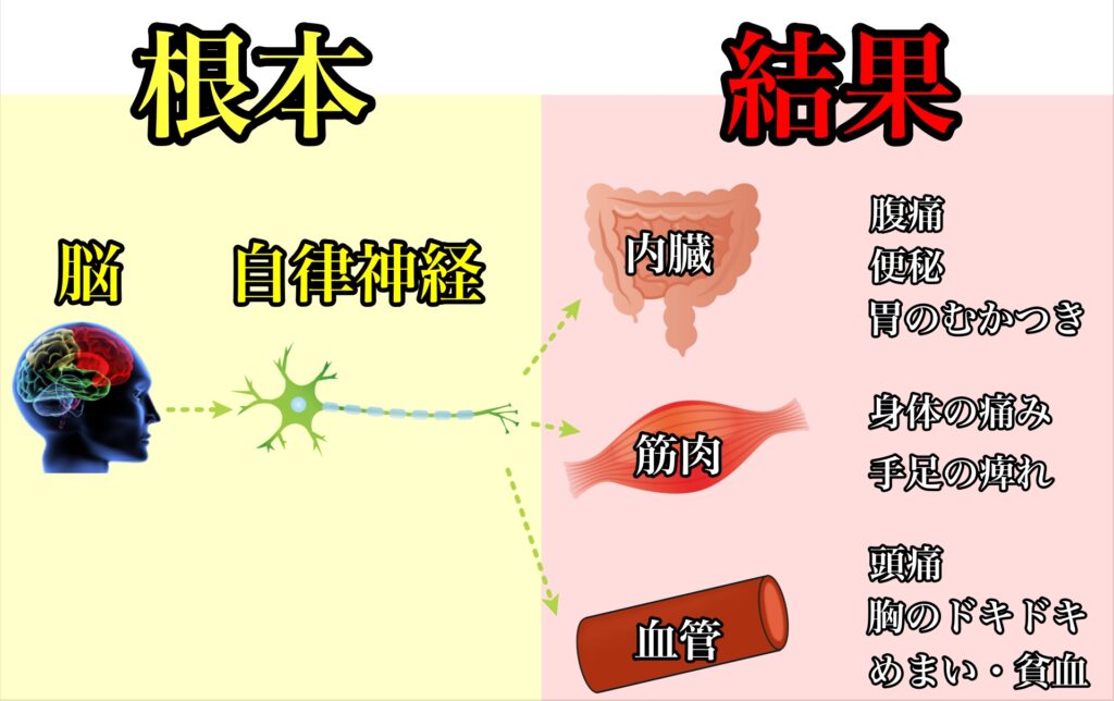 千葉　柏　整体　病院　うつ　不安　パニック障害　治療　治す方法　治る　自律神経